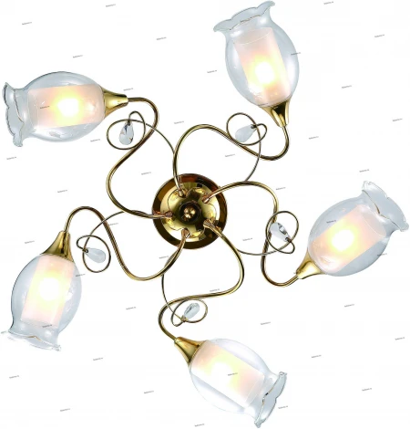 Потолочная люстра Arte Lamp Mughetto A9289PL-5GO