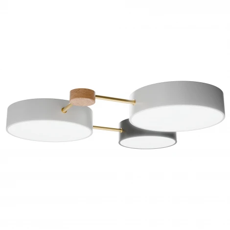 Потолочный светильник светодиодный круглый Lightera Tizzo LE239PL-3WG