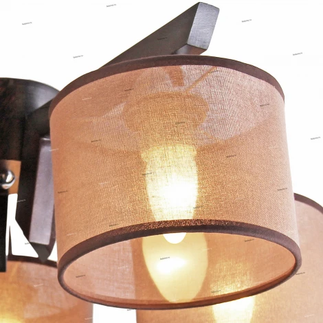 Потолочная люстра Дубравия Карина 191-53-25