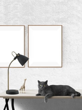 Настольная лампа на гибкой ножке для школьника Artstyle HT-703B (220V, выключатель)