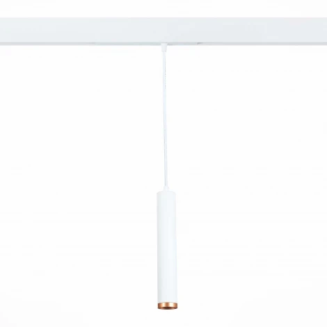 Трековый светильник магнитный ST Luce St659 ST659.593.10 (LED, 220V, круглые)