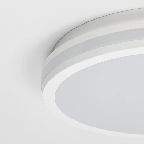 Светильник накладной светодиодный влагозащищенный Citilux Luns CL711020V (220V, круглые)