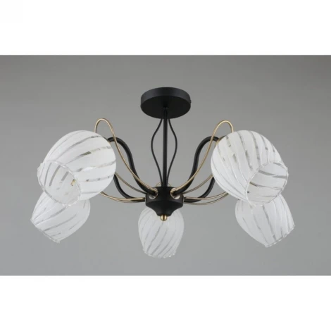 Потолочная люстра Omnilux 655 OML-65507-05