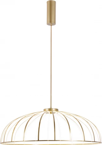 Подвесной светильник Favourite Vertex 4286-8P (LED, 220V, на проводе, зонтик)