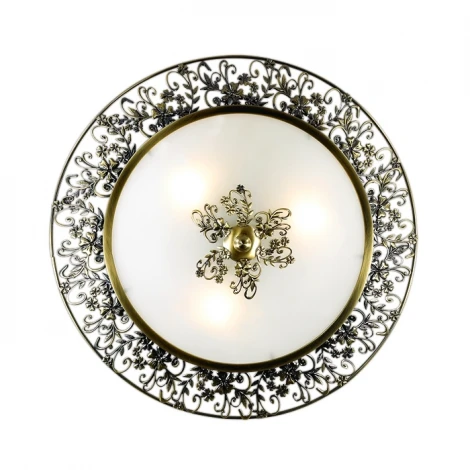 Настенно-потолочный светильник Odeon Light Balasa 2726/3C