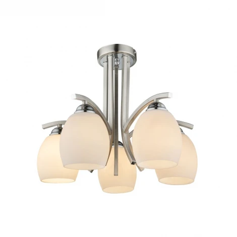 Потолочная люстра Globo Till 60214-5 (220V)