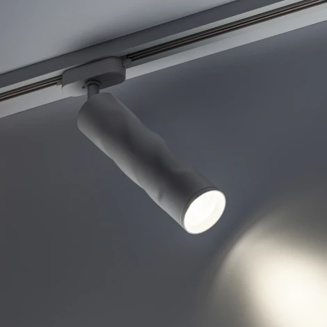 Трековый светильник однофазный 220V Ritter Artline 59704 3