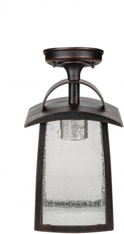 Потолочный светильник уличный Oasis Light FRANKFURT I 2736 05A R