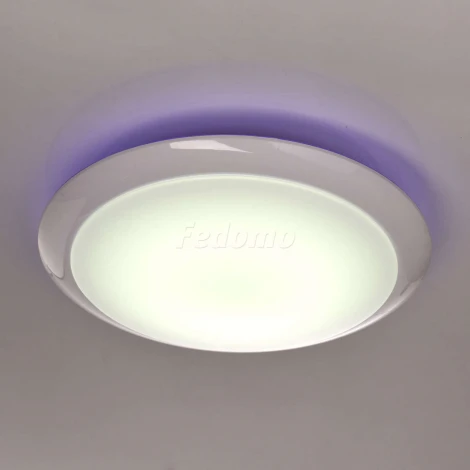 Потолочный светильник MW-Light Ривз 674014301
