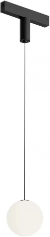 Трековый светильник LED с ПДУ 220V Denkirs Smart Mon DK8052-BK (шар)