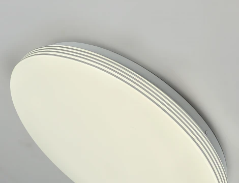 Потолочный светильник F-Promo Vexillum 2316-4C