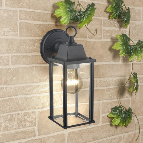 Настенный фонарь уличный Elektrostandard GL 1008D (220V, IP33)