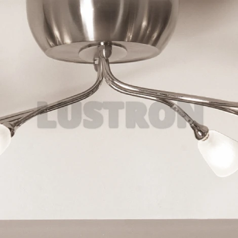 Потолочная люстра Lussole Roncobello LSA-0413-08