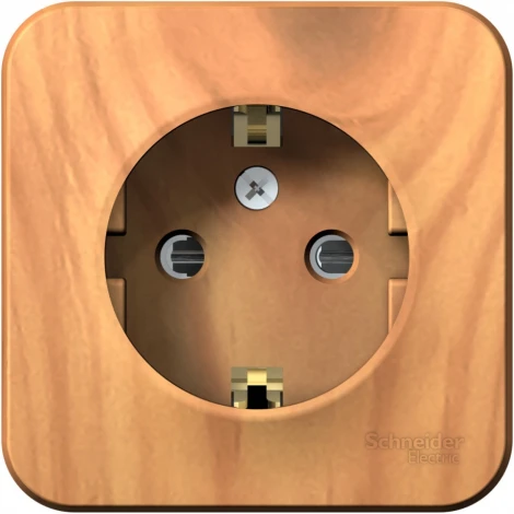 Розетка накладная с заземлением и шторками (ясень) Systeme Electric Blanca BLNRA011115