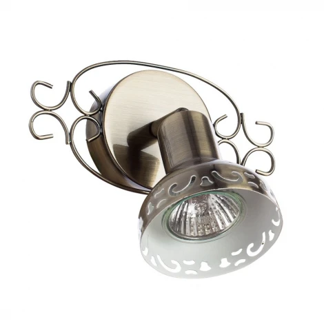 Спот Arte Lamp Focus A5219AP-1AB (220V, круглые)