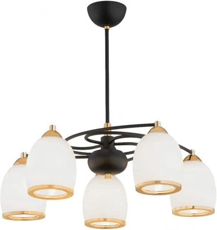 Потолочная люстра на штанге Imex MD.8388-5-P-BK