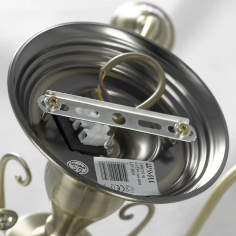 Потолочная люстра Lussole Lgo Anaheim LSP-8026 (220V, IP21)