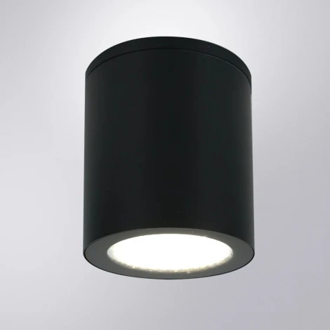 Уличный потолочный светильник Arte Lamp Torcular A1313PF-1BK