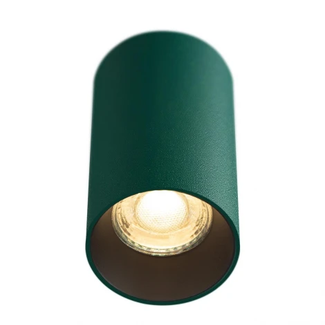 Потолочный светильник Citilux Axel CL512115 Зеленый