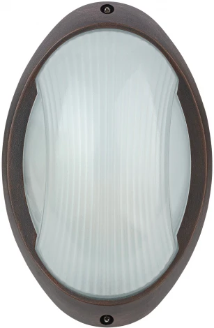 Уличный настенный светильник Oasis Light SIDNEY 10808 R (220V, IP44)