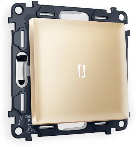 Комплект механизма Ambrella Volt 1-клавишного выключателя с подсветкой 5600K ALFA MA602015 Шампань QUANT