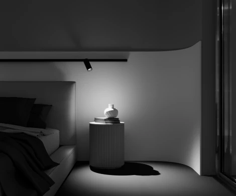 Трековый светильник (магнитный) Maytoni Focus LED TR032-2-20W2.7K-M-B (48V, круглые)