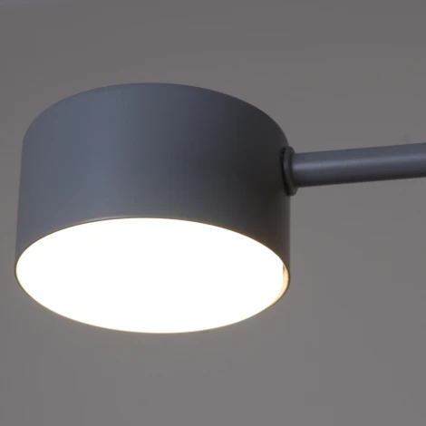 Потолочная люстра на штанге Reluce 03722-0.3-08 GREY GX53