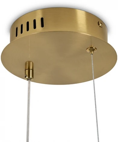 Подвесной светильник Freya Eclat FR6182PL-L14BS (LED, 220V, на проводе, круглые)