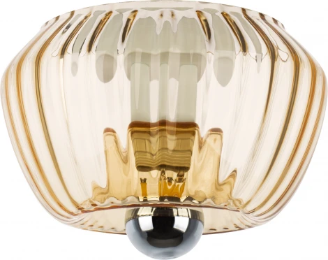 Потолочный светильник круглый Lightstar Celesta 809003 (220V)
