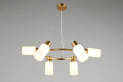 Подвесная люстра Omnilux Ales OML-69103-06 (220V, на тросе)