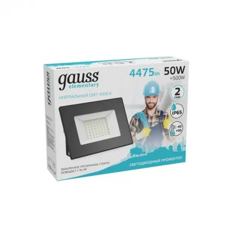 Прожектор уличный Gauss Elementary 613100250