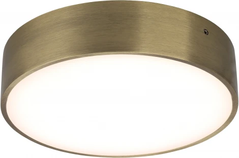 Потолочный светильник круглый Aployt Evon APL.0114.29.18 (LED, 220V, круглые)