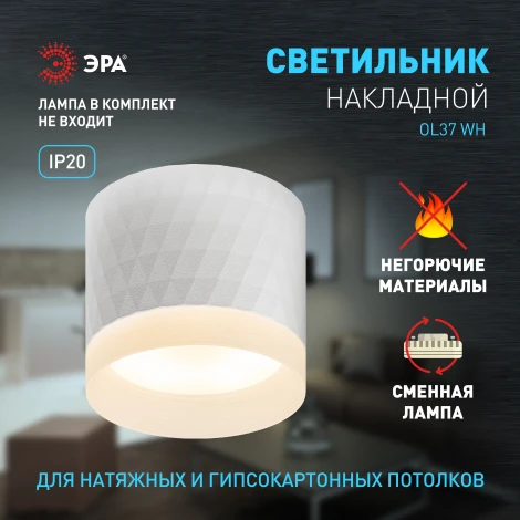 Точечный светильник ЭРА OL37 WH (220V)