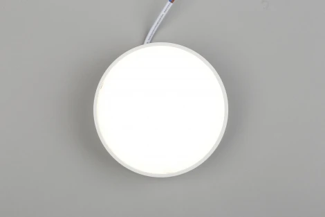 Потолочный светильник круглый Aployt Evon APL.0114.09.12 (LED, 220V, круглые)