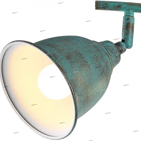 Спот Arte Lamp Campana A9557PL-4BG