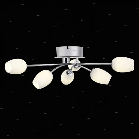 Потолочная люстра ST Luce Luna SL478.102.06