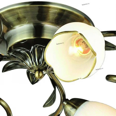 Потолочная люстра Arte Lamp Perce A6061PL-6AB