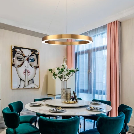 Подвесной светильник Cloyd Raunds 10252 (LED, 220V, на тросе, круглые, кольцо)