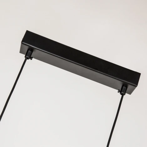 Подвесной светильник Favourite Raya 4096-2P (LED, 220V, на проводе)