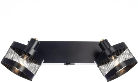 Спот с выключателем Citilux Хаген CL531525 (220V)