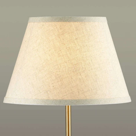 Интерьерная настольная лампа Lumion Robin 3703/1T