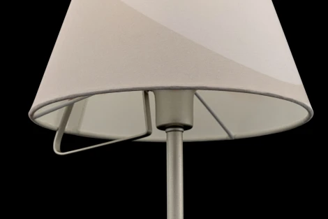 Интерьерная настольная лампа Freya Vanessa FR5084TL-01G