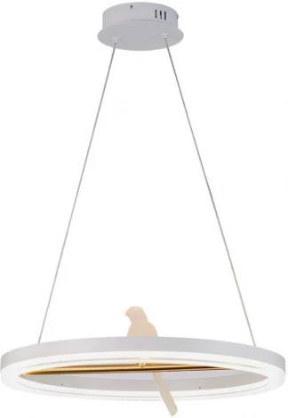 Подвесной светильник F-Promo Bardy 4653-1P (LED, 220V, на проводе, птички)