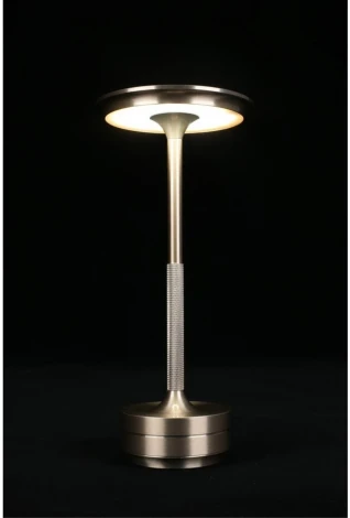 Настольная лампа светодиодная Aployt Markel APL.064.14.05 (220V)