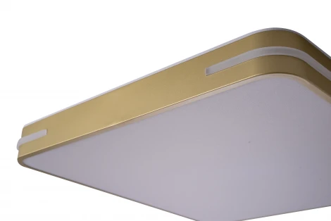 Потолочный светильник Zortes Gabby ZRS.1215.04 (LED, 220V)