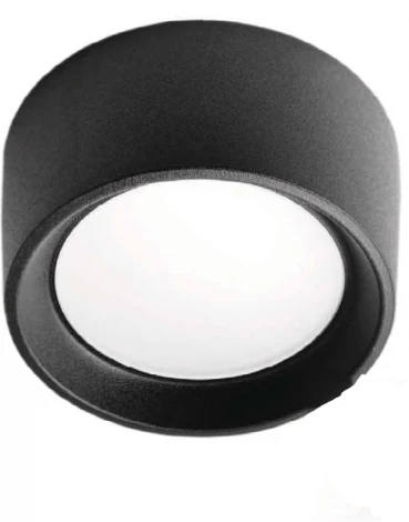 Потолочный светильник уличный Fumagalli Livia 160 3A9.000.000.AXD1L (220V, круглые, IP55)