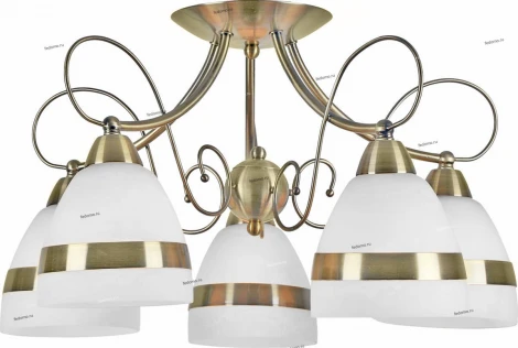Потолочная люстра Arte Lamp Noemi A6192PL-5AB