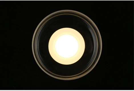 Настенный светильник LED Aployt Eloiza APL.341.31.06 (220V, круглые)