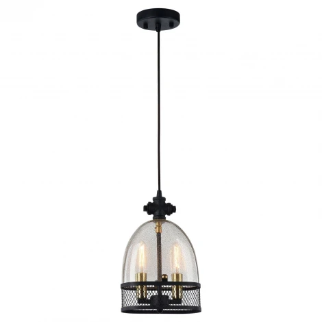 Подвесной светильник Lussole Loft Brighamton LSP-9675
