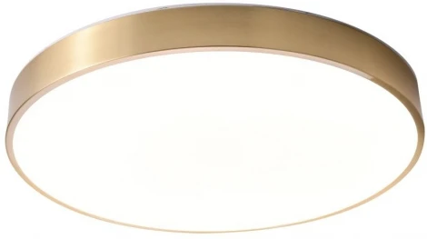 Потолочный светильник круглый Zortes Monna ZRS.1209.12 (LED, 220V, круглые)